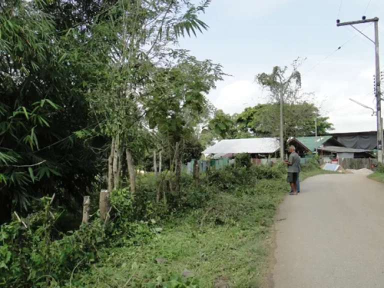 ขายที่ดิน หมู่บ้านสามัคคี ตพิชัย อเมืองลำปาง 33450 ตรว