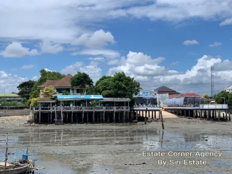 ขาย ที่ดินพร้อมสิ่งปลูกสร้าง และร้านอาหารบ้านมณีซีฟู๊ด พร้อมใบอนุญาตให้ปลูกสร้างสิ่งล่วงล้ำลำแม่น้ำ - 65875