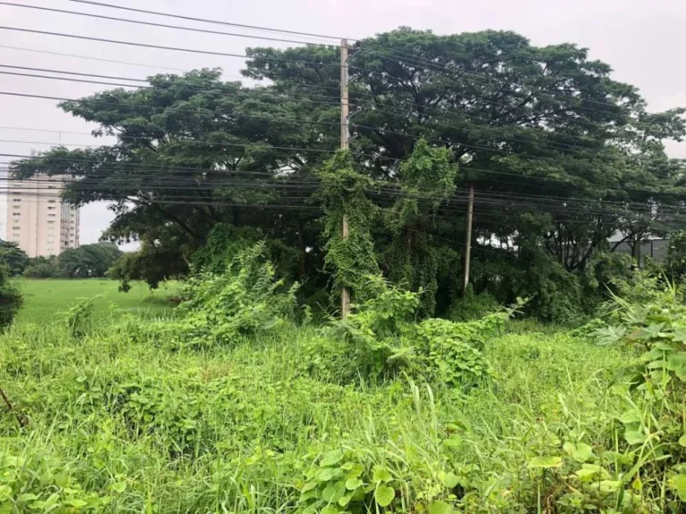 ขายที่ดินติดถนนซุปเปอร์ไฮเวย์ ลำปาง เชียงใหม่