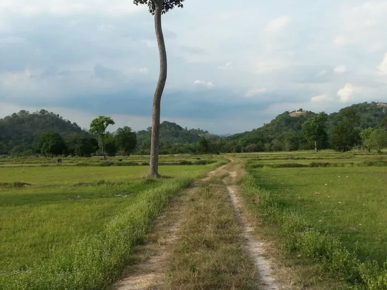 ที่ดิน จสระบุรี เขตติดต่อระหว่าง จนครนายก กับ จสระบุรี