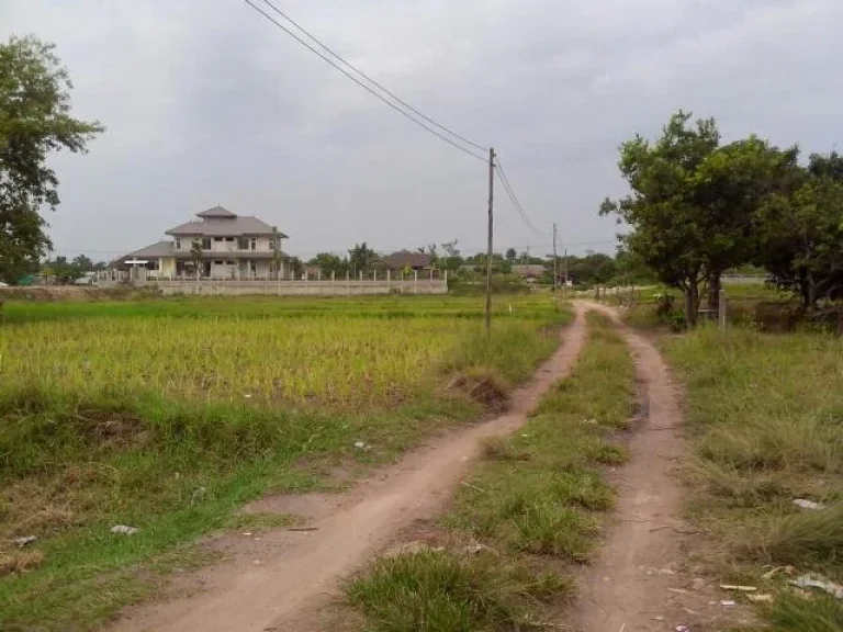 ขายที่แปลงสวยหน้ากว้าง พิกัดบ้านนาเมือง อเมือง ตรงข้ามอิงนภารีสอร์ท ถอุบล-ตระการ