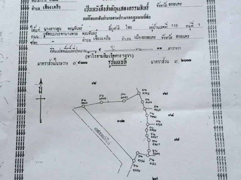 ขายที่ดินในมหาลัยเกษตร5ไร่31ตารางวา ซอยข้าง7-11ด้านในห่างจาก7-11 800เมตร