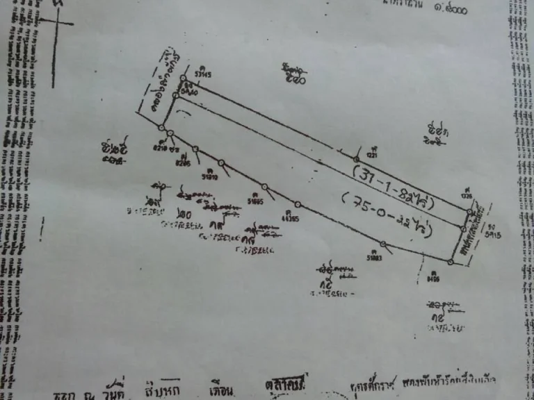 ขายที่นา 106 ไร่ ราคาไร่ละ 320000 บาท