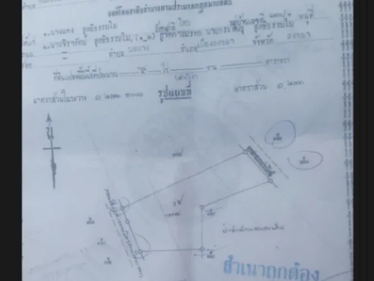 ขายที่ดินติดถนนมิตรภาพจำนวน 5 ไร่