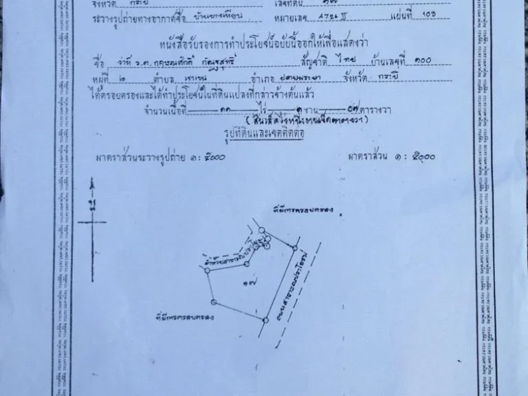 ขายที่สวนปาล์ม 11 ไร่ 1 งาน 7 ตรว