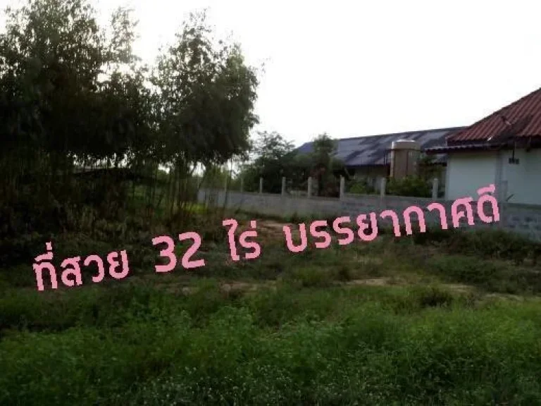 ที่ดิน 32ไร่ พร้อมบ้านใกล้เมืองสารคามcheepestไร่ละสองแสน