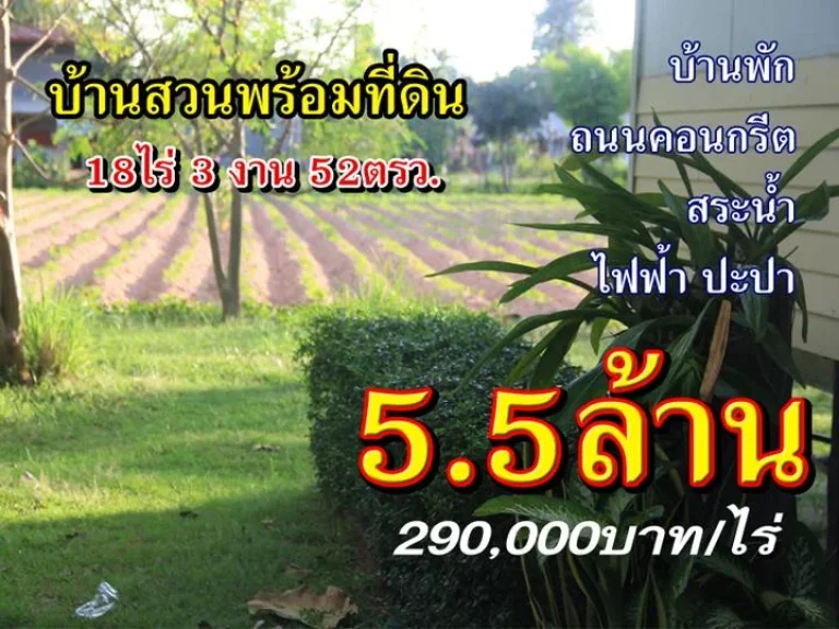 บ้านสวนกลางหมู่บ้าน 18 ไร่ๆละ 2แสน9