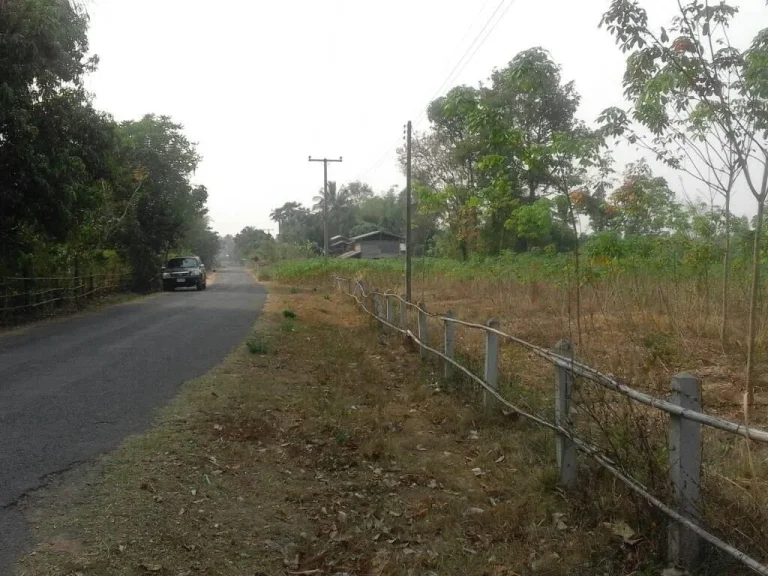 ขายที่ทำเลดีมีสวนยาง มีโฉนดพร้อม ติดถนนลาดยางในหมู่บ้านโพธิ์ทอง ไฟฟ้า ประปา ผ่านที่ดิน ห่างจากถนน สุรินทร์ ช่องจอม 3 กม เข้าได้สองทาง บ้านสกล