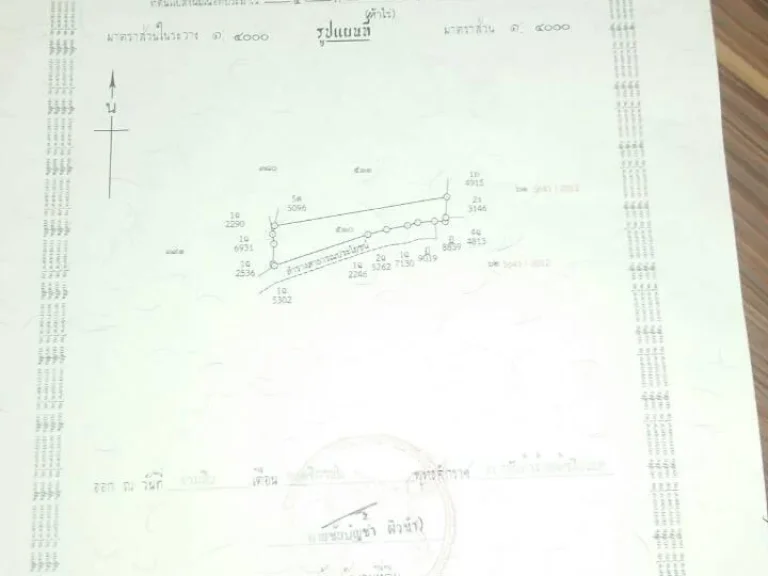 ขายที่5ไร่