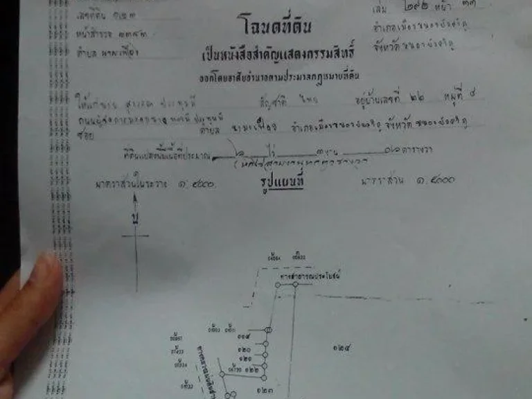 ขายด่วน ที่ติดทางหลวง หนองบัว - โนนสัง