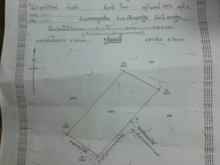 ขายที่ดิน 7 ไร่ 2 งาน ตหนองงูเหลือม