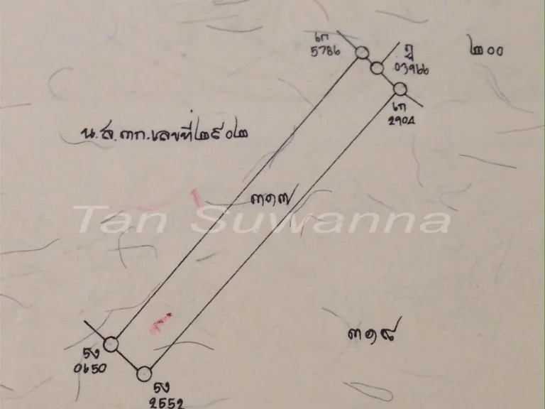 ขายที่ดิน ที่นา นส3ก มีโฉนด เจ้าของขายเองไม่ผ่านนายหน้า