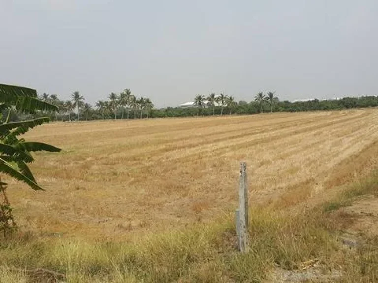 ที่ดินติดคลองส่งน้ำชลประทาน ด้านหน้าติดถนนทางหลวง