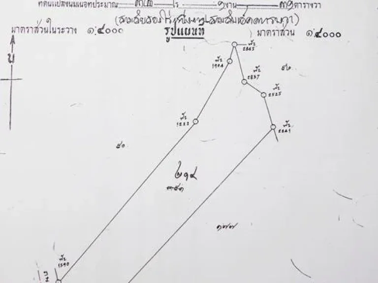 ขายที่ดิน ถนนหลวงพ่อปาน ตบางเพรียง อบางบ่อ จสมุทรปราการ ใกล้วัดบางเพียง เข้าออกได้หลายเส้นทาง