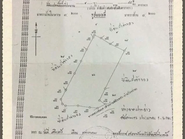 ขายที่ดินเกาะช้าง จังหวัดตราด