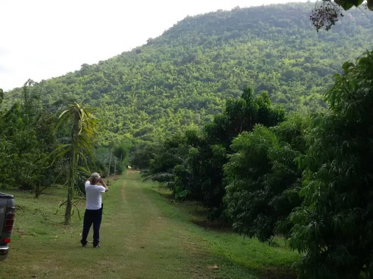 บ้านพร้อมสวนผลไม้นานาชนิด บรรกาศเหมือนอยู่ภาคเหนือ วิวสวย ร่มรื่น มีความเป็นส่วนตัว