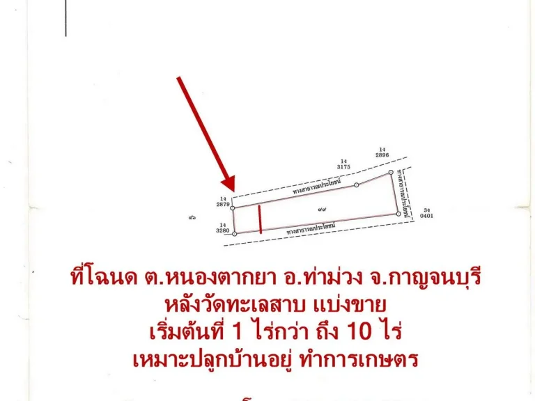 มาแล้ว ที่แปลงเล็ก แบ่งขาย เริ่มต้นที่1ไร่กว่า โฉนด หลังวัดทะเลสาบ ตหนองตากยา อท่าม่วง จกาญจนบุรี ราคาไร่ละ290000