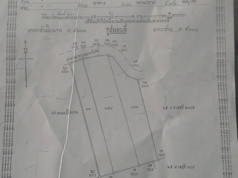 ขายที่นาติดถนน15ไร่