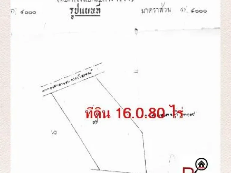 POP-267 ที่ดิน ที่นา 16080 ไร่ บ้านหนองแสงหนองเม็ก ตหนองช้างใหญ่ อม่วงสามสิบ จอุบลฯ ยกแปลง ไร่ละ 125000 บาท