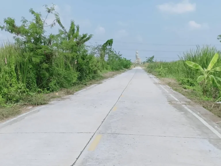 ขายที่ดิน 36 ไร่ คลองแปด ถนนรังสิต-นครนายก อธัญบุรี จปทุมธานี ราคาต่ำกว่าประเมิณ