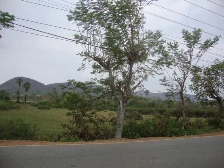 ขายที่ดินโฉนด 5 ไร่ 2 งาน 59 ตรว บ้านเขาเต่า ทางไปหาดทรายน้อย