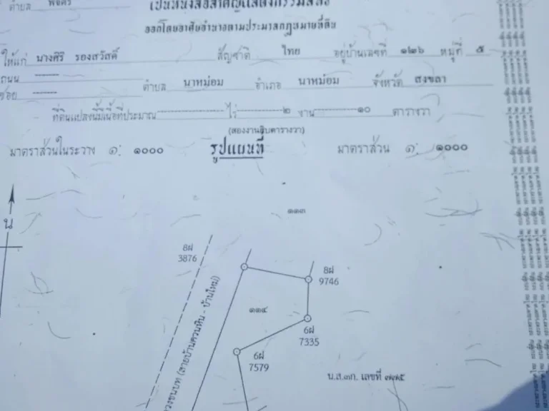 ขายที่ดินนาหม่อมตำบลพิจิตร 2 งาน 10 ตารางวาขาย 2 ล้าน 200000 บาท