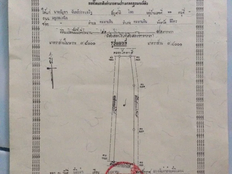 ขายที่ดิน ที่นา ที่ 22 ไร่ และ 27 ไร่ อ ตะพานหิน จ พิจิตร ตะพานหิน