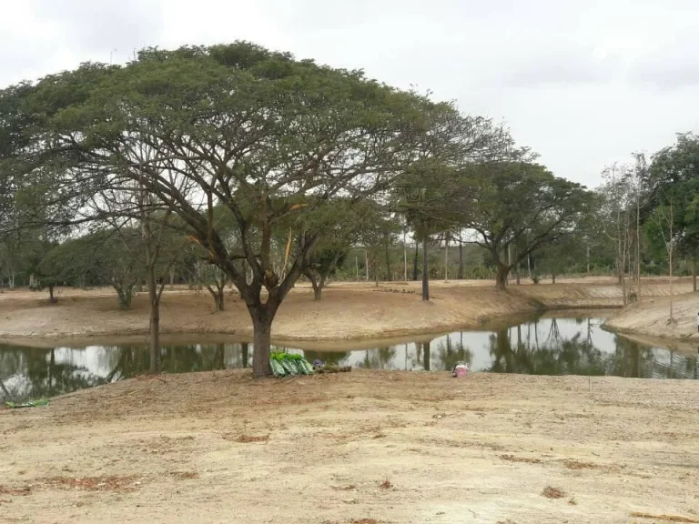 สาธารณูฯ น้ำ-ไฟ พร้อม บรรยากาศดี สภาพแวดล้อมดีห็นวิวเขาสวย ห่างถนนหลัก 200ม