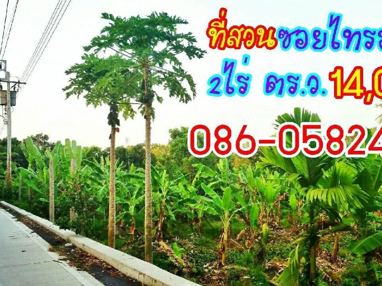 ขายที่ดินนนทบุรี ตรวละ14000