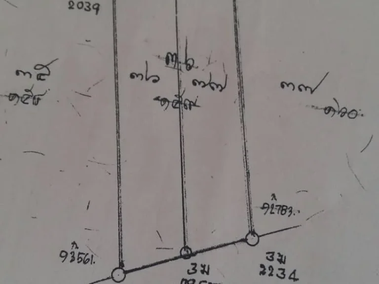 ที่ดิน 355 ตรวติดถนน ใกล้โรงเรียนดอนตะลุมพุก