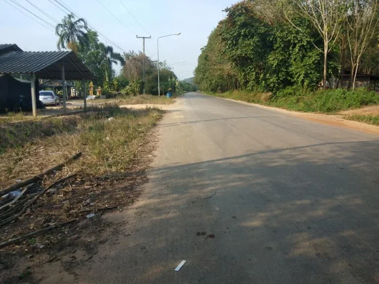 ขายที่ดินติดถนนรองห่างจากถนนสุขุมวิท 700 เมตร ตกะเฉด จระยอง