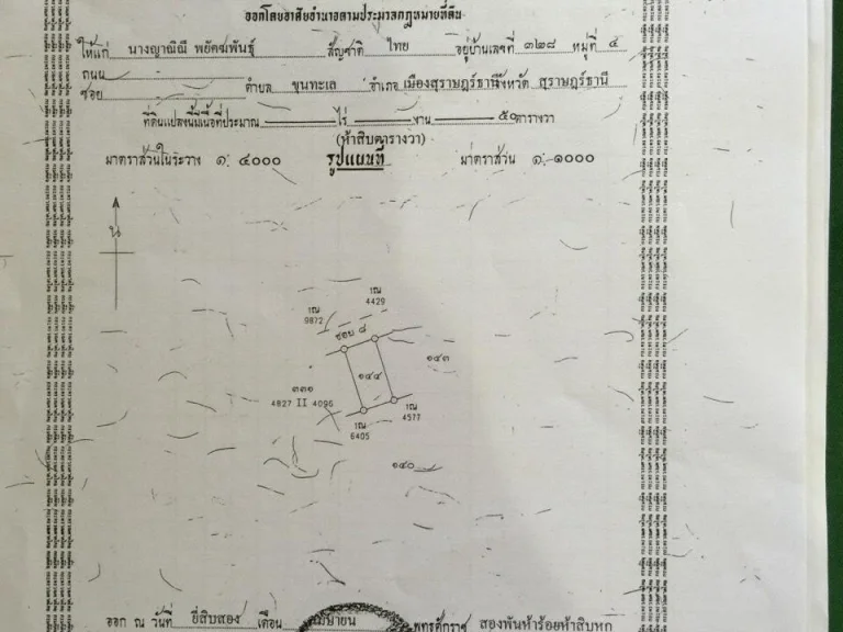 ขายที่ดินพร้อมโฉนดติดถนนสุราษฎร์-นาสาร ซอย 8 ตรงข้ามโรงเรียนจุฬาภรณ์