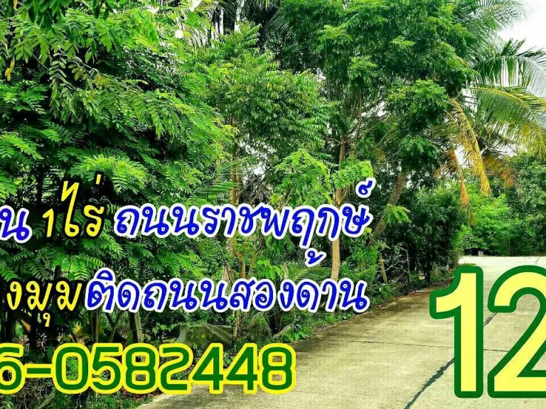 ขายที่ดิน1ไร่ ใกล้ราชพฤกษ์