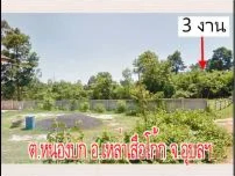 POP-312 ที่ดิน 3 งาน ตหนองบก อเหล่าเสือโก้ก จอุบลฯ ใกล้โรงเรียน 60 พรรษา ห่างถนน 2050 เพียง 400 เมตร ราคา 7 แสนบาท