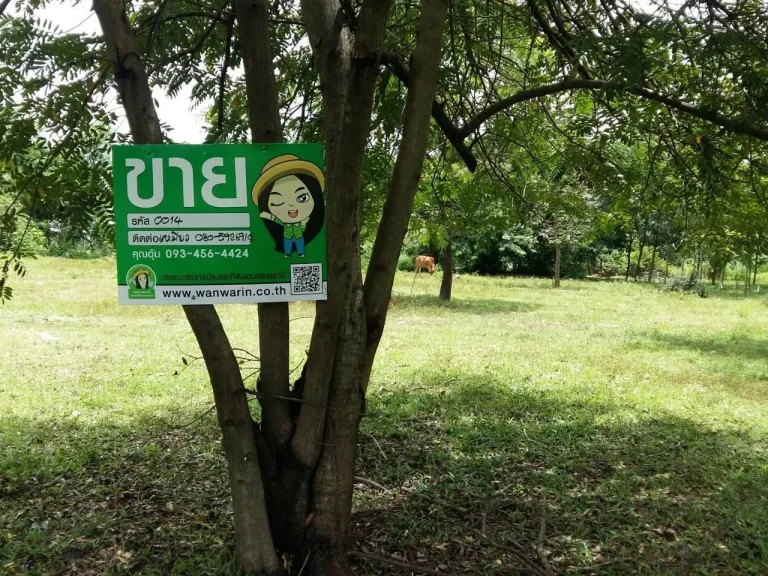 ที่ดินบ้านหลองไหล