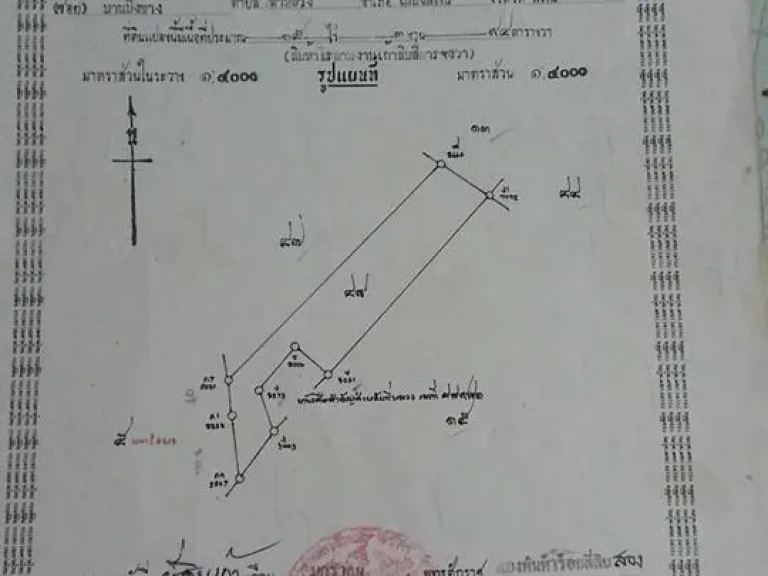 ขายที่ดิน19ไร่ ตท่าหลวง โฉนด