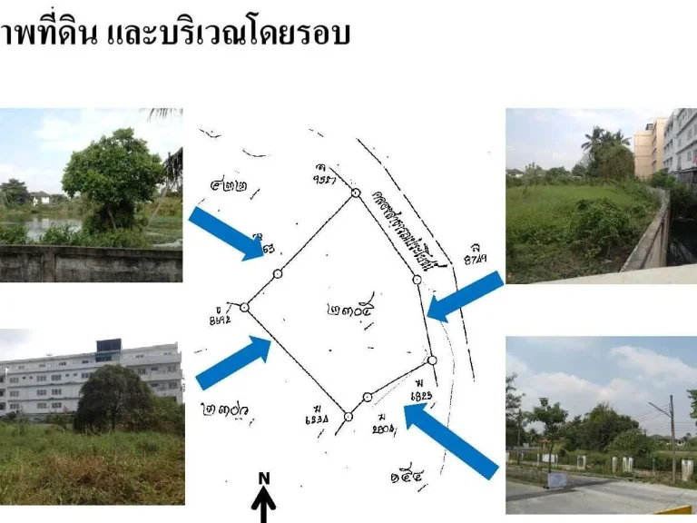 ที่ดิน ในหมู่บ้านพัชรวิลล์