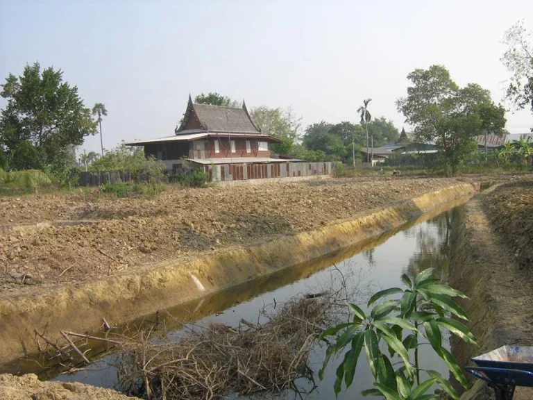 ขายที่ดินสวนป่าฝางถนนไฟฟ้าน้ำประปาโทรศัพท์อินเตอร์เน็ตมีเข้าถึง