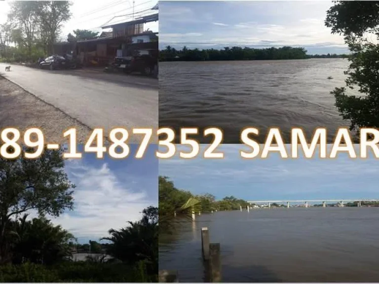 ที่ดินริมแม่น้ำ แม่กลอง 189 ตรวสวยถมแล้ว ไม่ไกลถนนหลัก ท่ามกลางชุมชน วิวเรือประมง