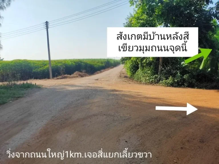 ขายที่ดินราชบุรี ตหนองกวาง อโพธาราม เนื้อที่ 2ไร่