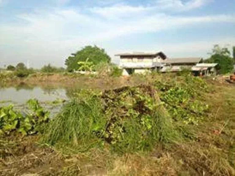 ขายที่ดิน 2 ไร่ 3งาน ตัวเมืองสุพรรณบุรี