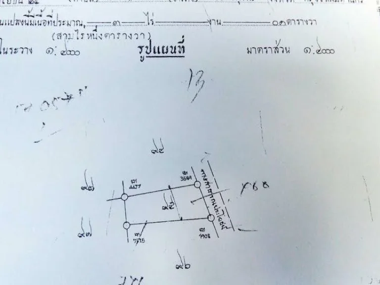 ขายสวนปาล์ม 8 ไร่ ถูกสุดๆ