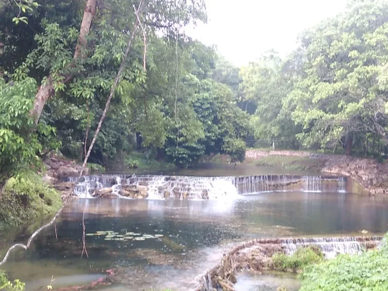 ขายที่ดิน 10 ไร่ ติดน้ำตก7 สาวน้อย 100 กว่าเมตร สวยที่สุดในที่ดินติดน้ำลำตะคองรับประกันความสวย พัฒนาพื้นที่ทำถนนแล้ว