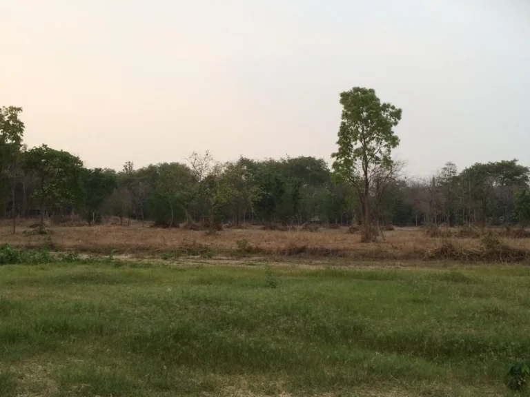 ที่ดิน หลังเทศบาลสุเทพ เชียงใหม่