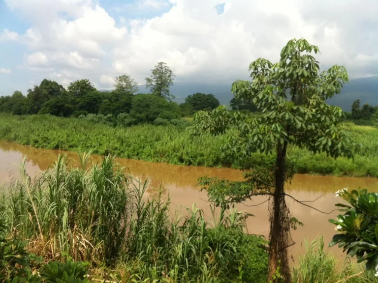 ที่ดิน 1 ไร่เศษ ติดแม่น้ำปิง ใกล้ศูนย์ราชการ เชียงใหม่ 