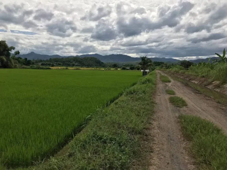 ขายที่สวนน้ำบ่อหลวง สันป่าตอง เชียงใหม่