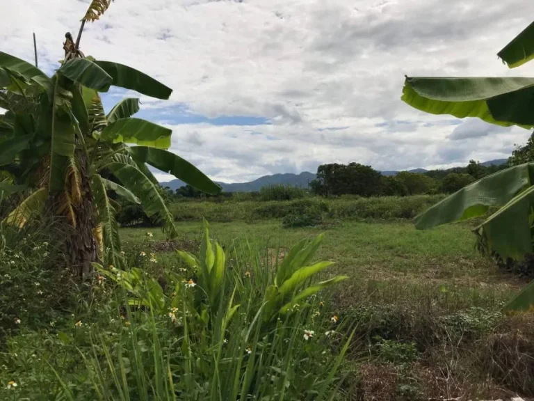 ขายที่สวนน้ำบ่อหลวง สันป่าตอง เชียงใหม่