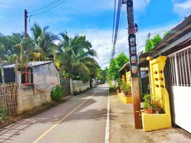 ขายที่ดินสันพระเนตร ติดถนนสองด้าน ห่างเมือง 5 km ราคาถูก