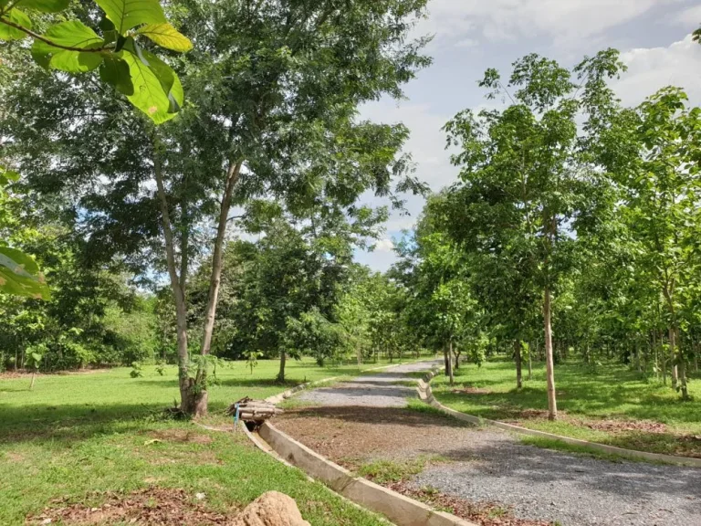 ขายที่ดินห่างที่ว่าการอำเภอดอยสะเก็ต 5 km