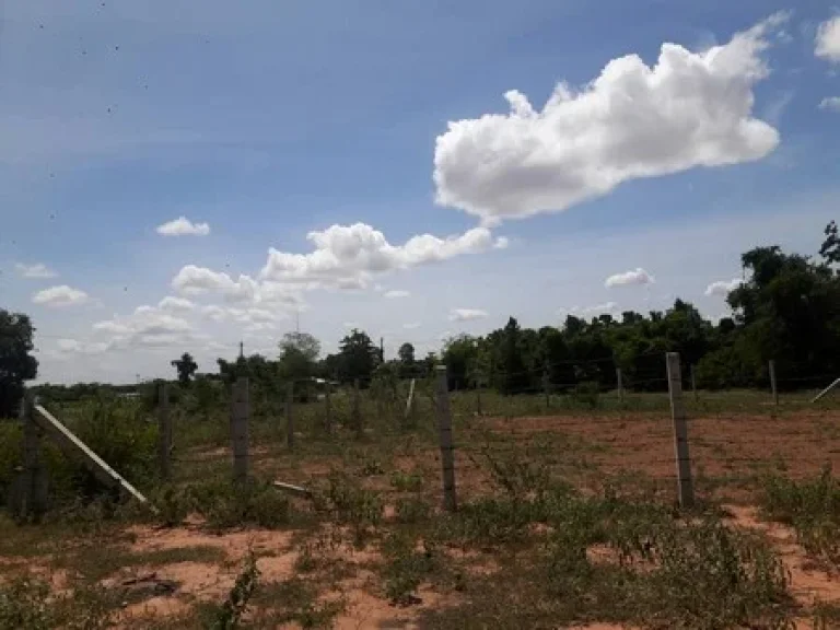 ขายที่ดิน 100 ตรว ตำบลหนองบัวน้อย อำเภอสีคิ้ว จังหวัดนครราชสีมา